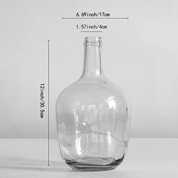 HEWEGO Clear Large Glass Vase,Balloon Glass Jug Vase for Farmhouse - Image 2