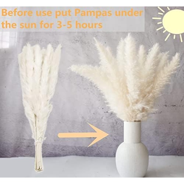 110 PCS Dried Pampas Grass Bouquet, Boho Table Decor, Bunny Tails Dried Flowers - Image 4