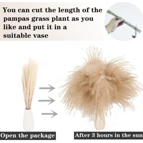 Dried Pampas Grass Decor, 100 PCS Pampas Grass Contains Bunny Tails Dried - Image 5