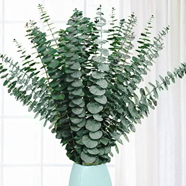 20 Pcs Preserved Dried Eucalyptus Stems, 17" Natural Fresh Eucalyptus Bundles