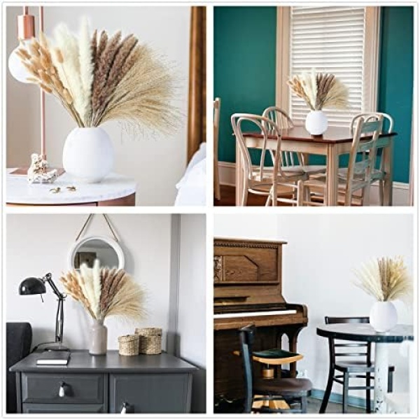 Dried Pampas Grass Decor, 100 PCS Pampas Grass Contains Bunny Tails Dried - Image 6