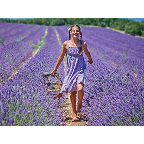 Pura Aide Lavender Sachets Pre-Filled for Refreshing Drawers Closets Dressers - Image 5